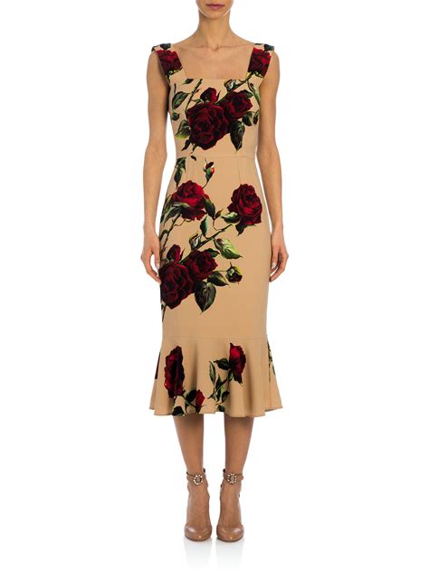 dolce rosa dolce gabbana|dolce & gabbana rose dress.